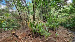  Terrain  vendre 1689 m Le lamentin
