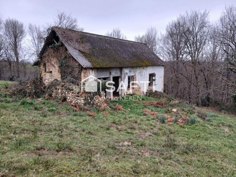 Vente Maison Maison en pierre à rénover vue Pyrénées 2ha Gan