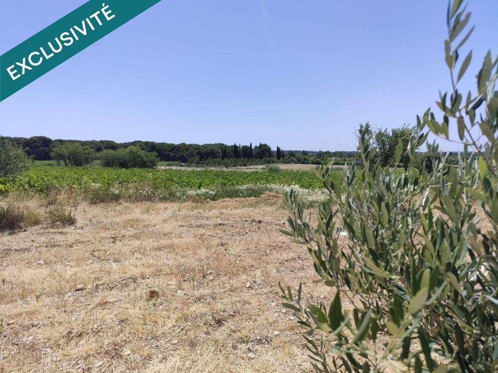 Vente Terrain Terrain agricole, avec eau, 4800€ Montagnac