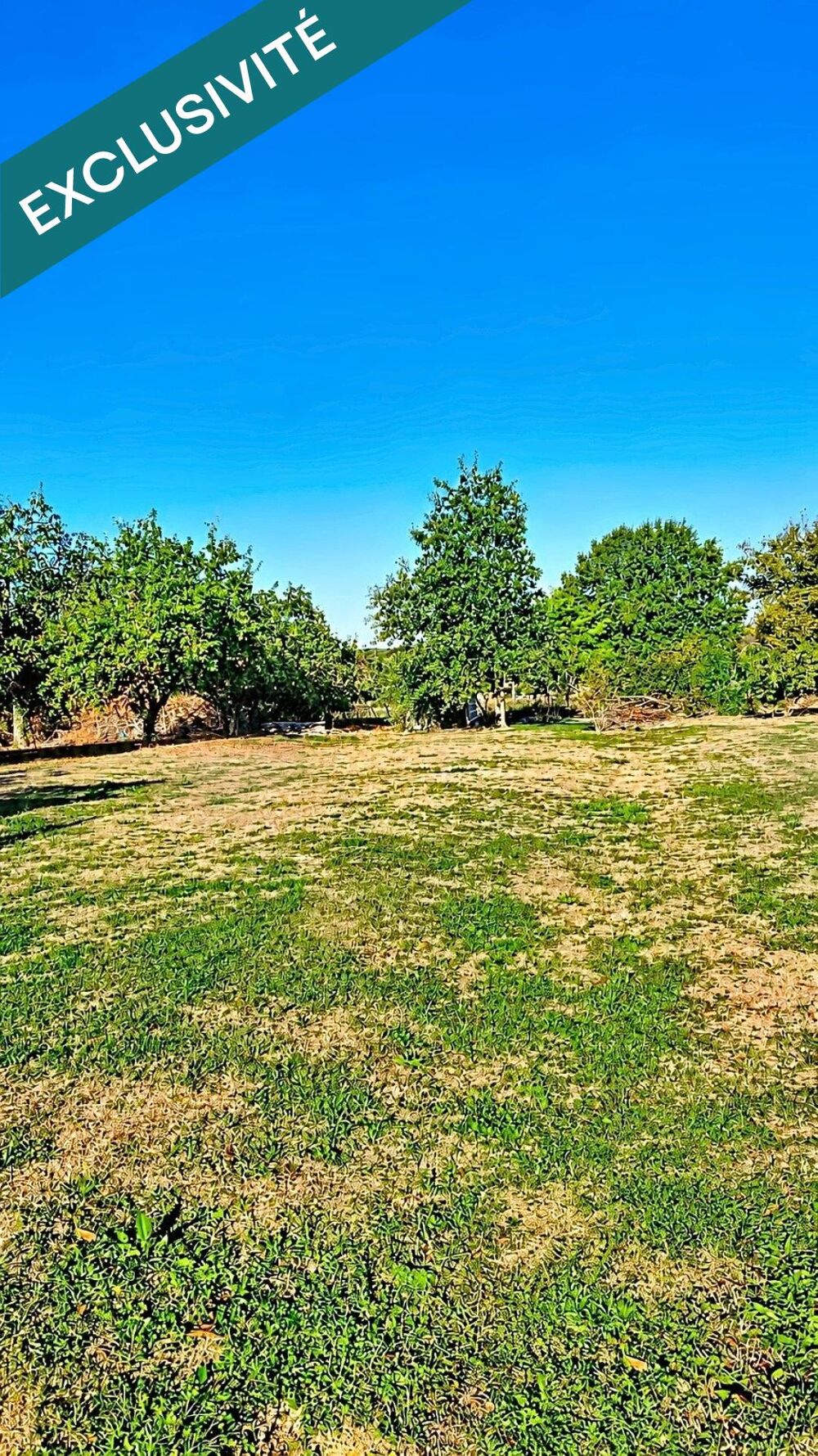 Maison 100m², 3 chambres, terrains clos de 2600m²