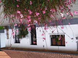  Maison � vendre 12 pi�ces 262 m�