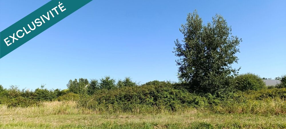 Vente Terrain 9322m² Savigny-en-veron