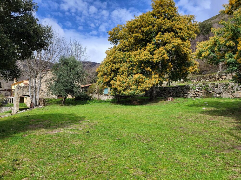 à vendre  Maison Arles-sur-Tech (66150)