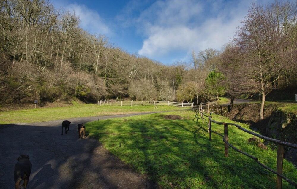 � vendre  Maison Villefranche-d'Albigeois (81430)