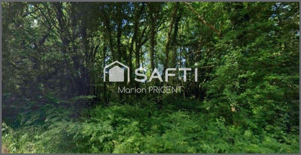 Vente Terrain BOIS NON CONSTRUCTIBLE Lanneanou