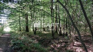  Terrain à vendre 136761 m²