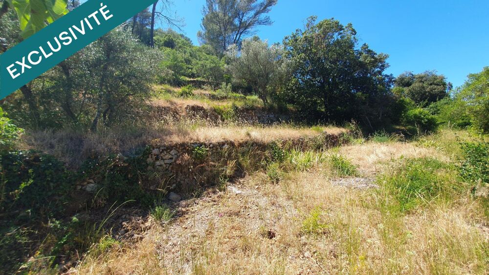 Vente Terrain Terrain constructible de 3 235 m² avec permis de construire – Belgentier Belgentier
