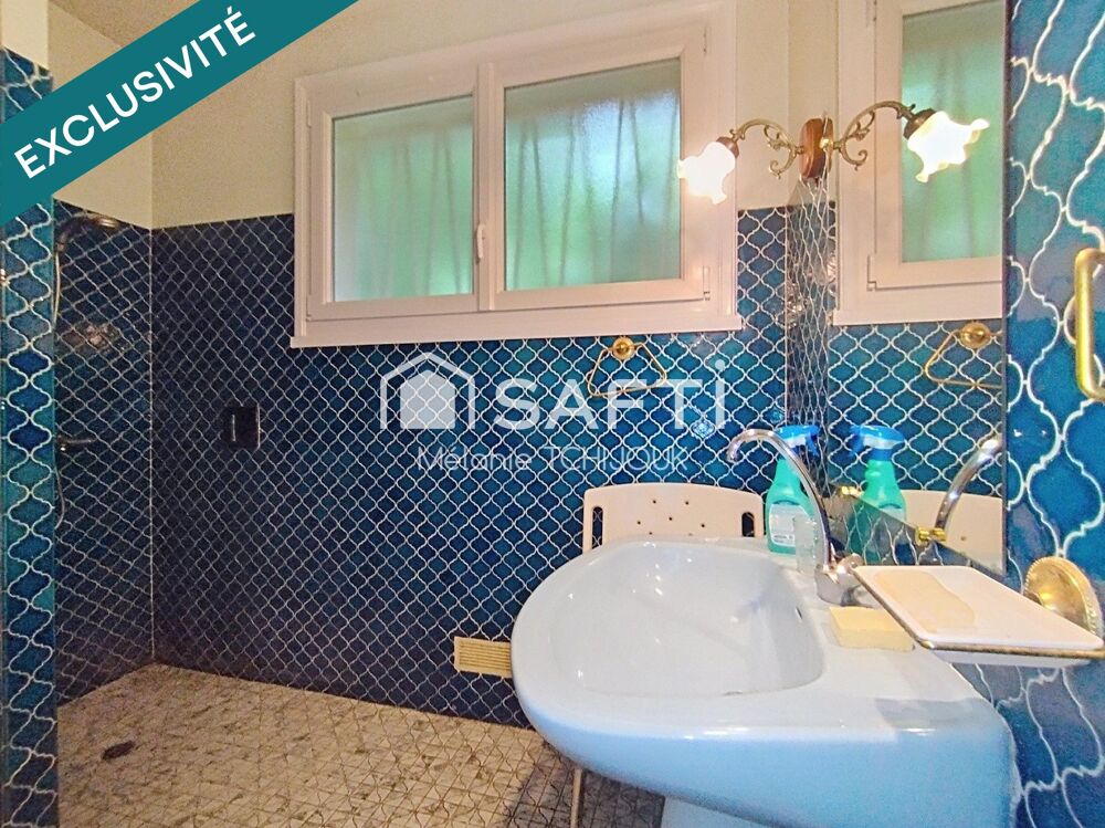 Vente Maison Maison avec studio indépendant sur terrain boisé Montbouy