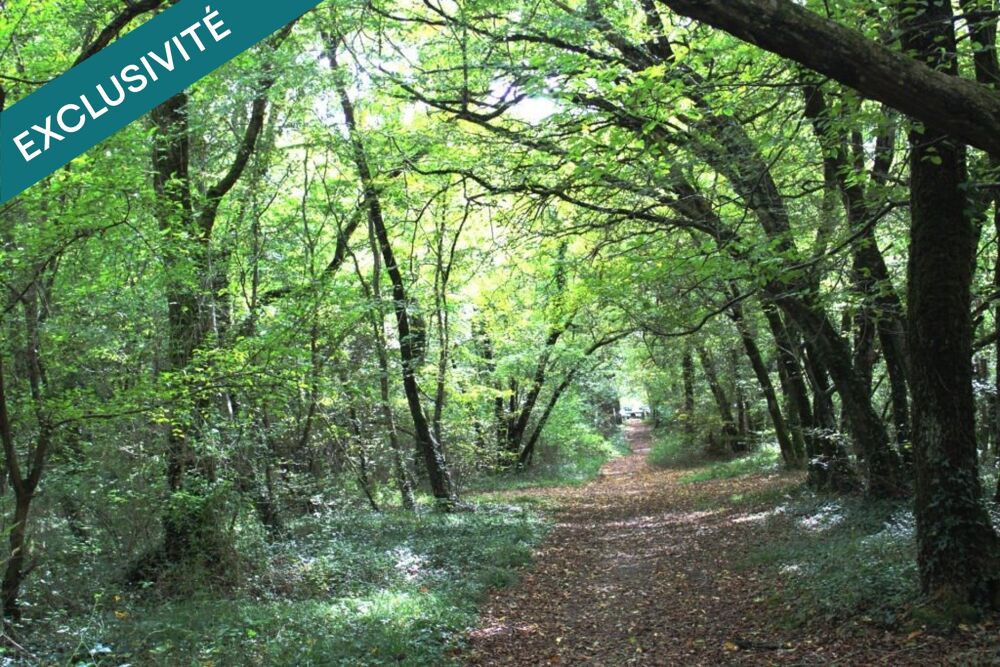 Vente Terrain Forêt de 52 ha à 20 min de La Rochelle – Chasse, nature et patrimoine Benon