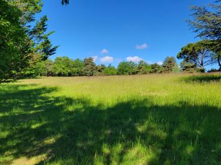  Maison � vendre 15 + pi�ces 500 m�