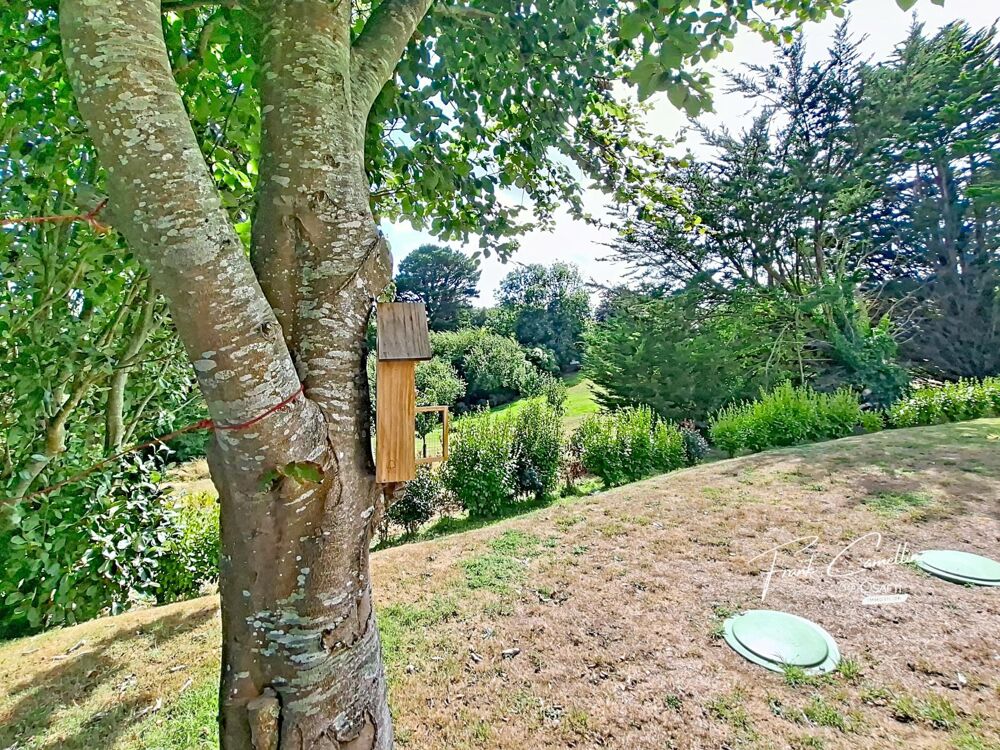 à vendre  Maison Trégastel (22730)