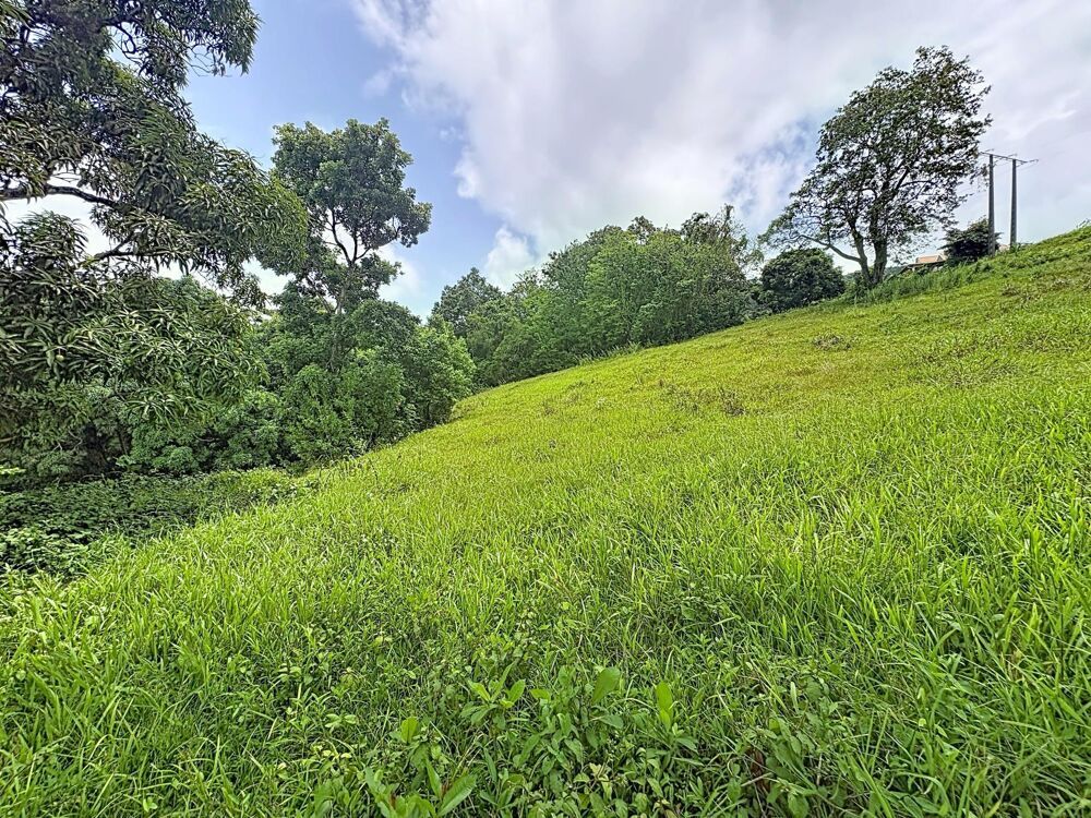 Vente Terrain LE ROBERT : Ecrin de verdure de 2209 m² pour construire la maison de vos rêves Le robert