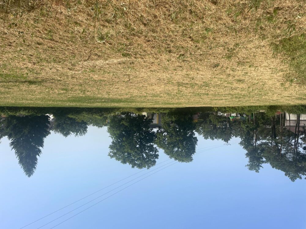 Vente Terrain Terrain à batir 1140 m2 Questembert Questembert