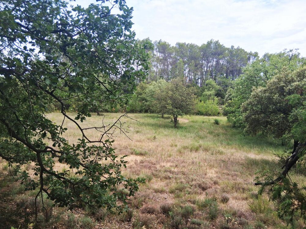 Vente Terrain Ancienne propriété agricole de 6Ha en AOP Entrecasteaux