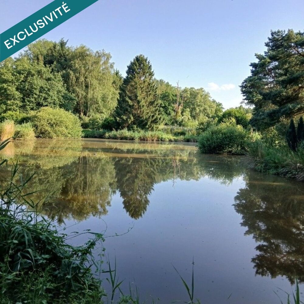 Vente Terrain Pour se ressourcer au coeur de la nature... Etouvelles