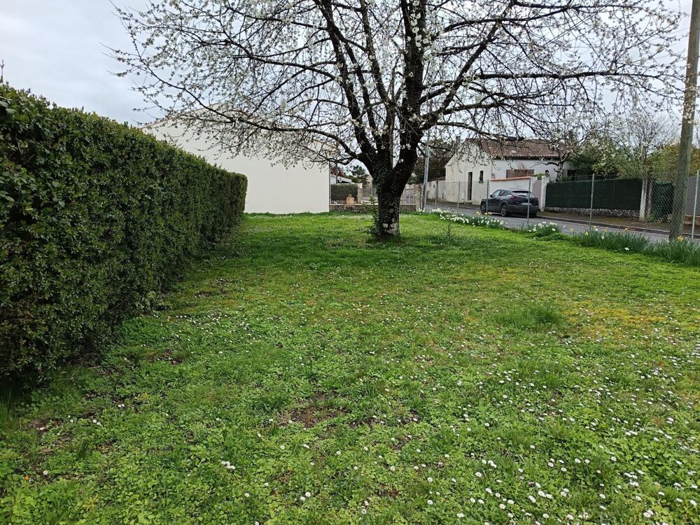 Vente Terrain Terrain situé à Cognac, d'une superficie de 645 m² Cognac