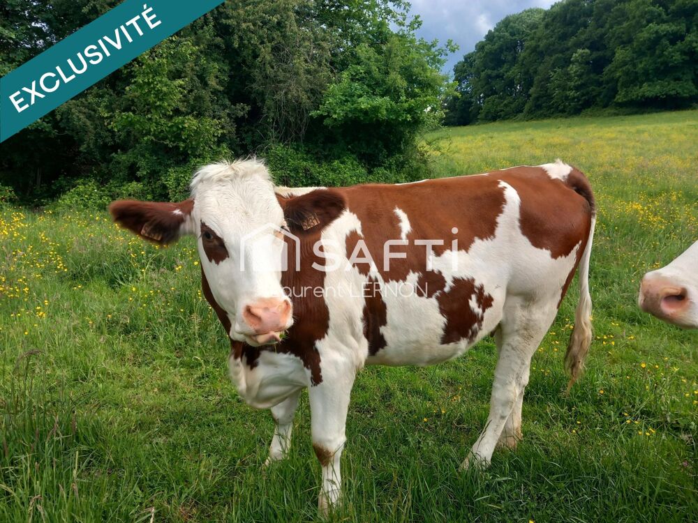 Vente Terrain TERRAIN A BATIR DE 777 M² A MONTCEY Vesoul