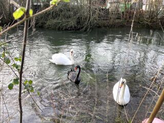  Maison � vendre 9 pi�ces 300 m�