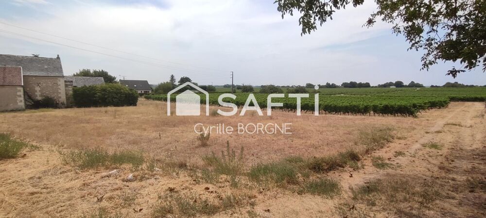Vente Terrain Terrain à batir avec vue sur les vignes ! Coteaux-sur-loire