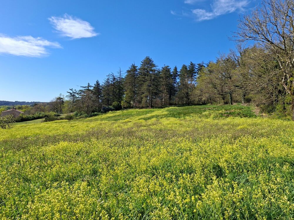 Vente Terrain Terrain à bâtir d'une superficie de 3 200 m² Pont-de-larn