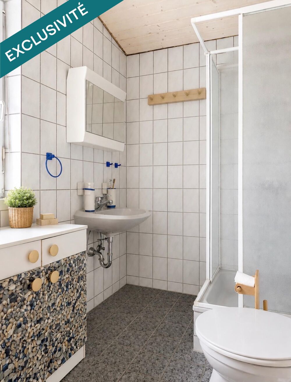 Vente Maison Maison individuelle Remering-les-puttelange