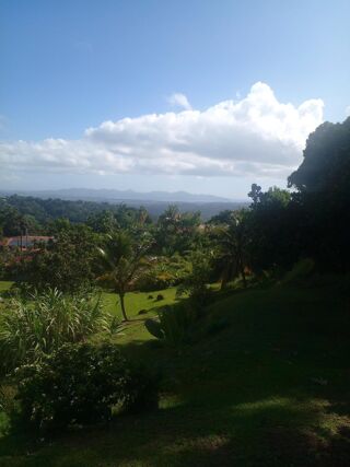  Terrain  vendre 884 m