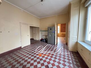  Propriété/château à vendre 13 pièces 316 m²