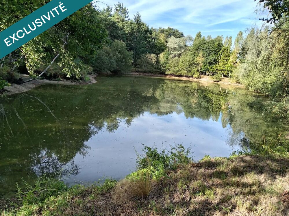 Vente Terrain TERRAIN DE LOISIR SUPERFICIE 48176 M2 avec etang 2500 M2 Sancoins