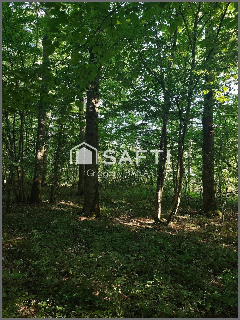 Vente Terrain Propriété forestière avec étang – 30,63 ha – Aux portes de Metz Metz
