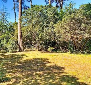 Terrain à vendre 1161 m²