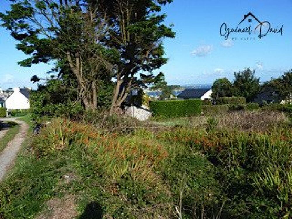 Vente Terrain TERRAIN D'EXCEPTION SUR L'ÎLE DE BATZ AVEC VUE MER - CONSTRUCTIBLE - CU OPERATIONNEL - 1 054 M2 Ile-de-batz