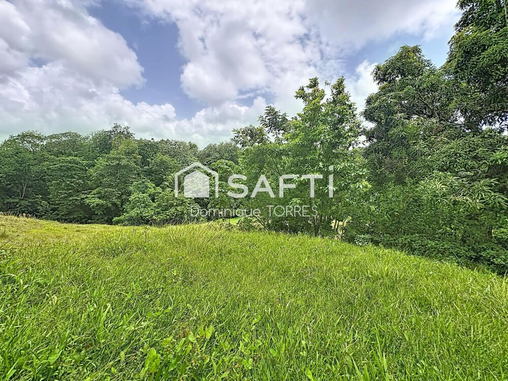 Vente Terrain LE ROBERT – TERRAIN À BÂTIR 2 555 M² – 797 M² CONSTRUCTIBLES Le robert