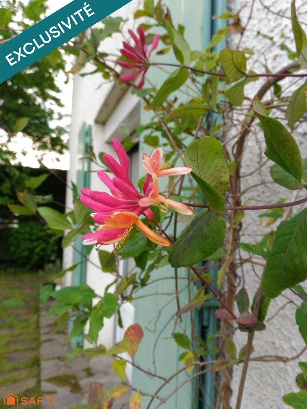  vendre  Maison Bourg-la-Reine (92340)