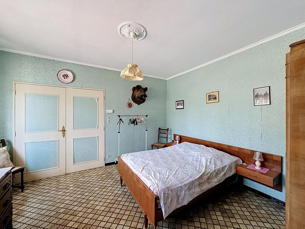 Vente Maison Maison avec grande annexe et beau terrain Maizeroy