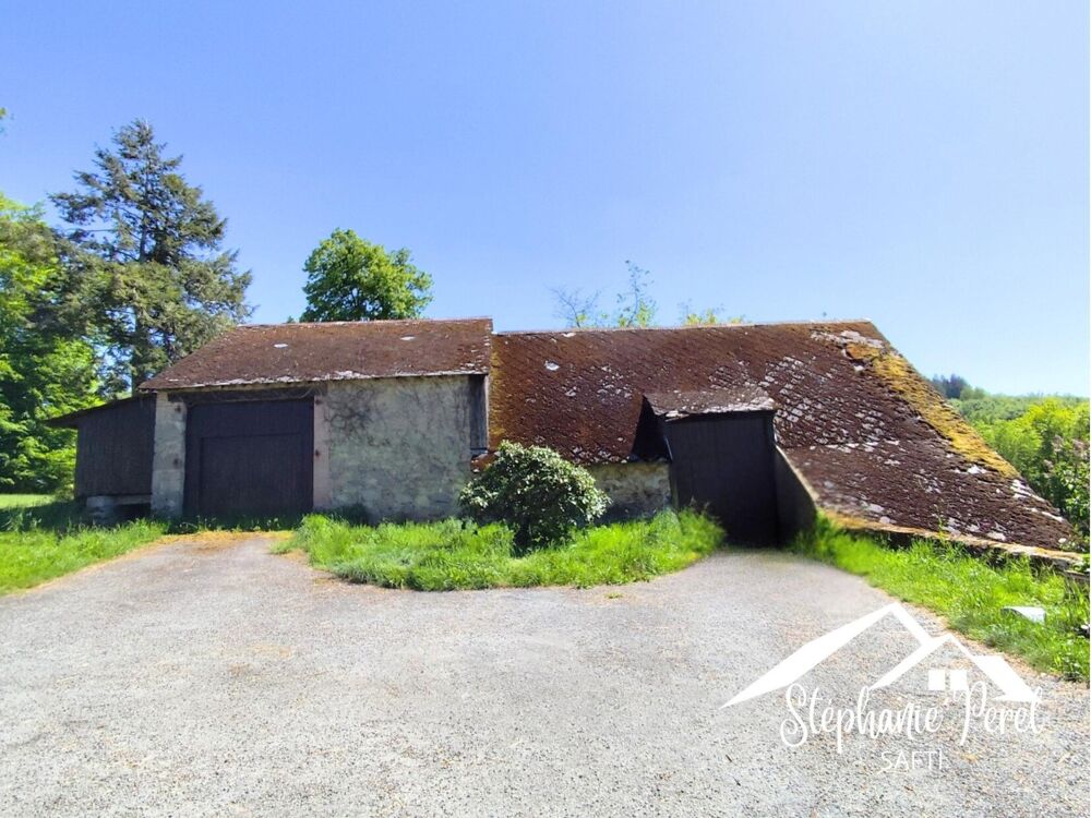 Vente Maison Maison et sa pension canine Saint-frejoux