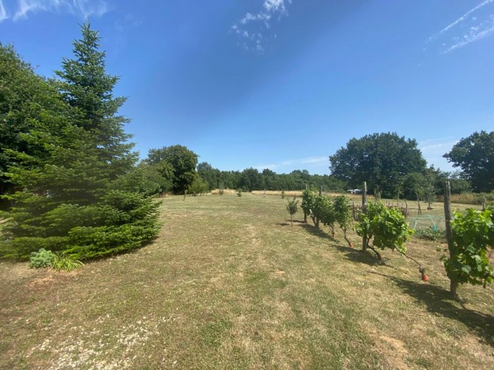 Vente Maison Terrain de 8446 m² avec abris de jardin Taize-aizie