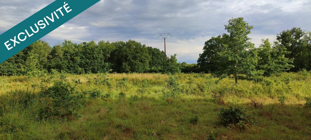 Vente Terrain Super terrain forestier au calme et sans vis à vis ! Huismes