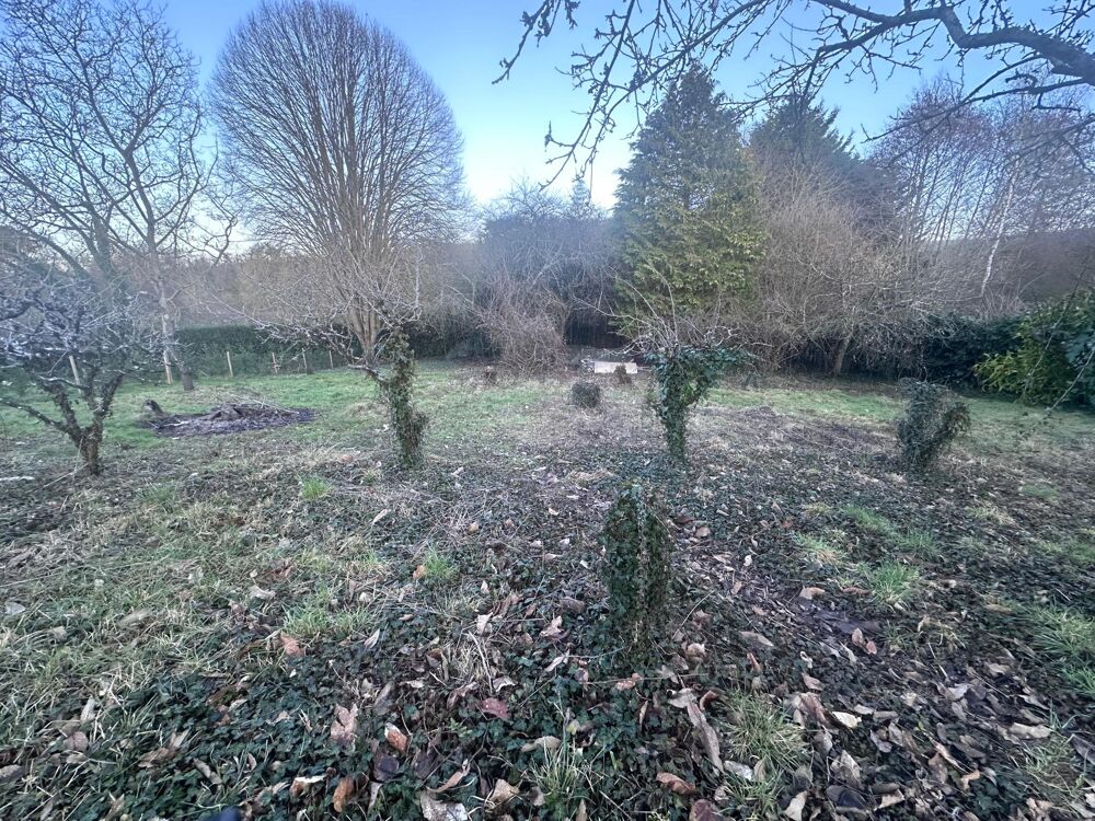 Vente Terrain Terrain de loisir le long des halages Chateau-gontier