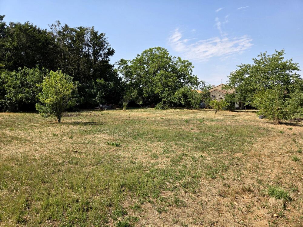 Vente Terrain Terrain constructible plat, avec verger! Saint-remy