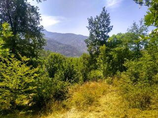  Terrain � vendre 1370 m�