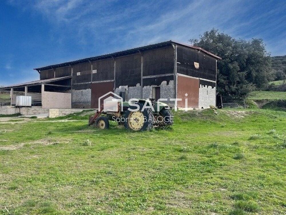 Vente Terrain Terrain agricole Caux