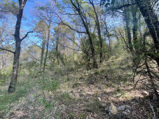  Terrain � vendre 14290 m� Chateaudouble