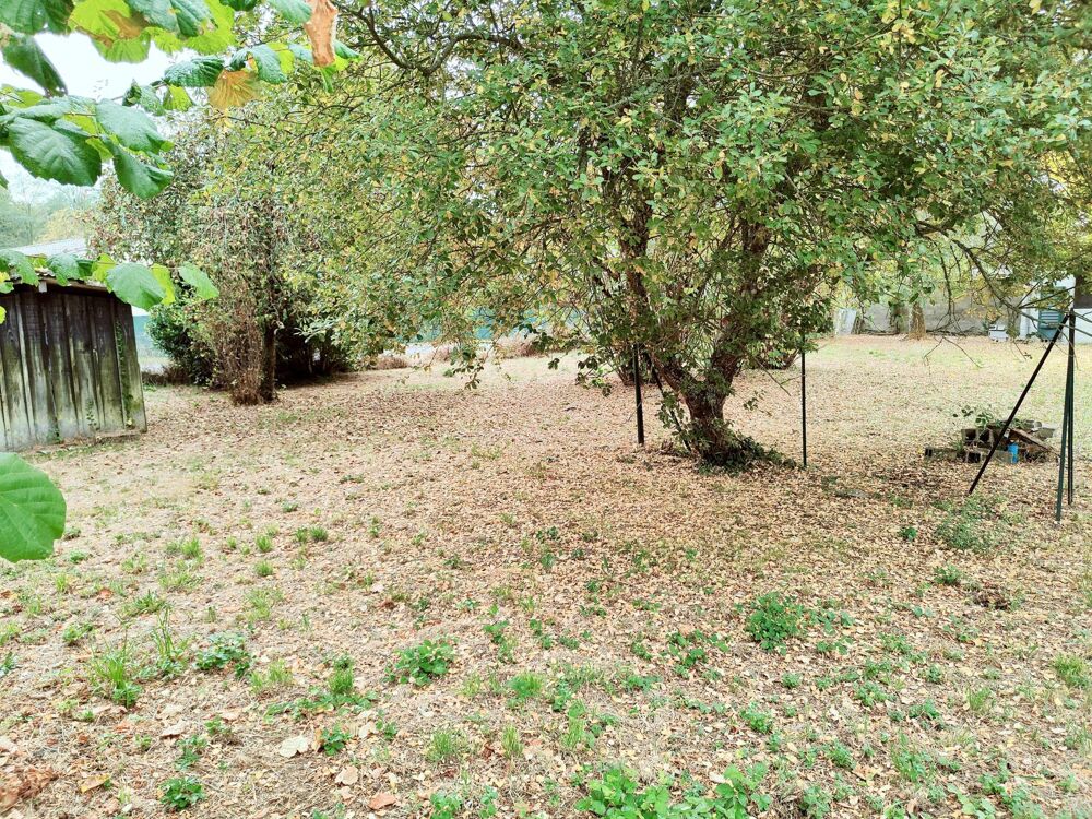 Vente Terrain Terrain plat libre de constructeur. Emprise 60% Saint-magne