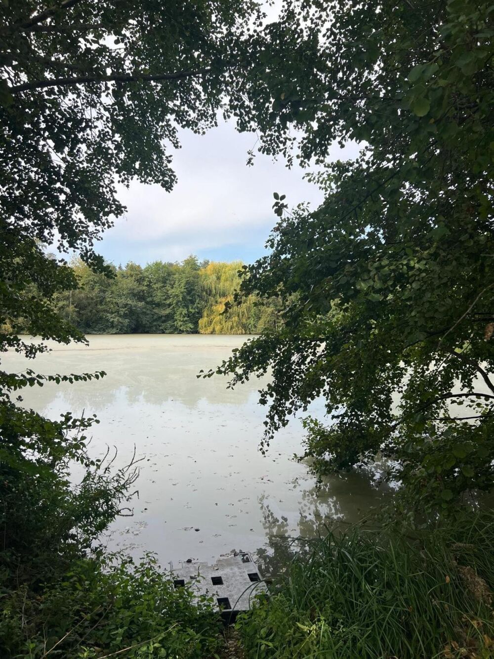 Vente Terrain Magnifique plan d'eau à côté de l'Yonne! Saint-denis-les-sens