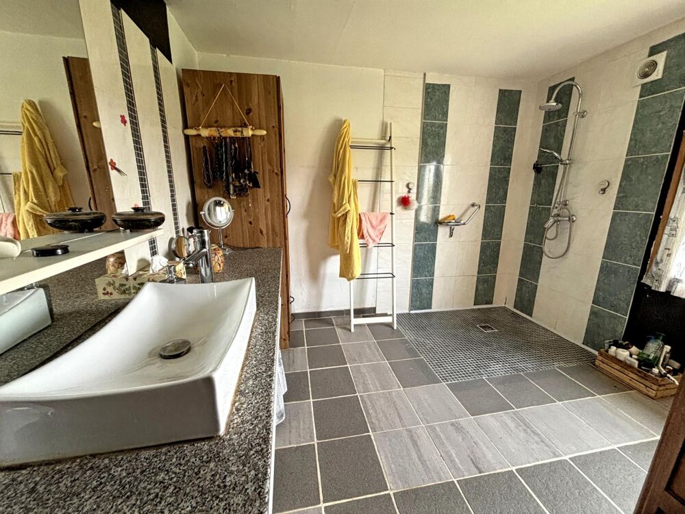 Vente Maison Propriété en Puisaye Fontaines