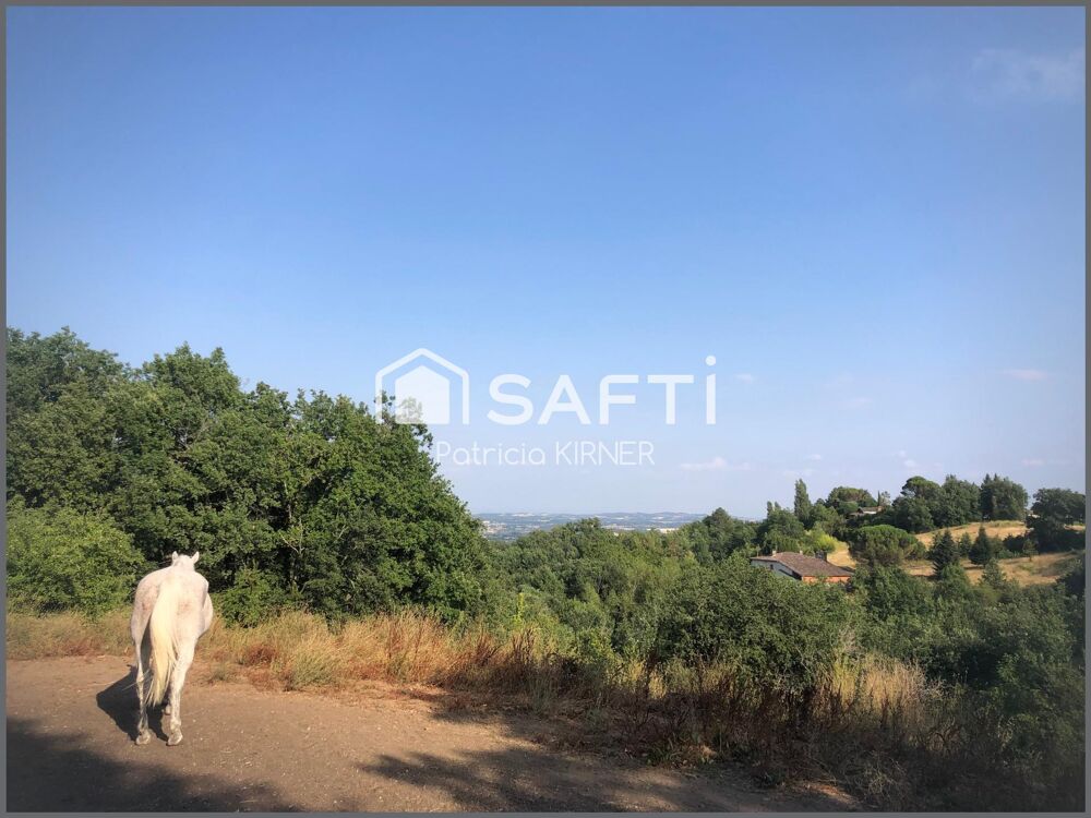 Maison 9 pièces 255m² avec terrain de 5092 m²