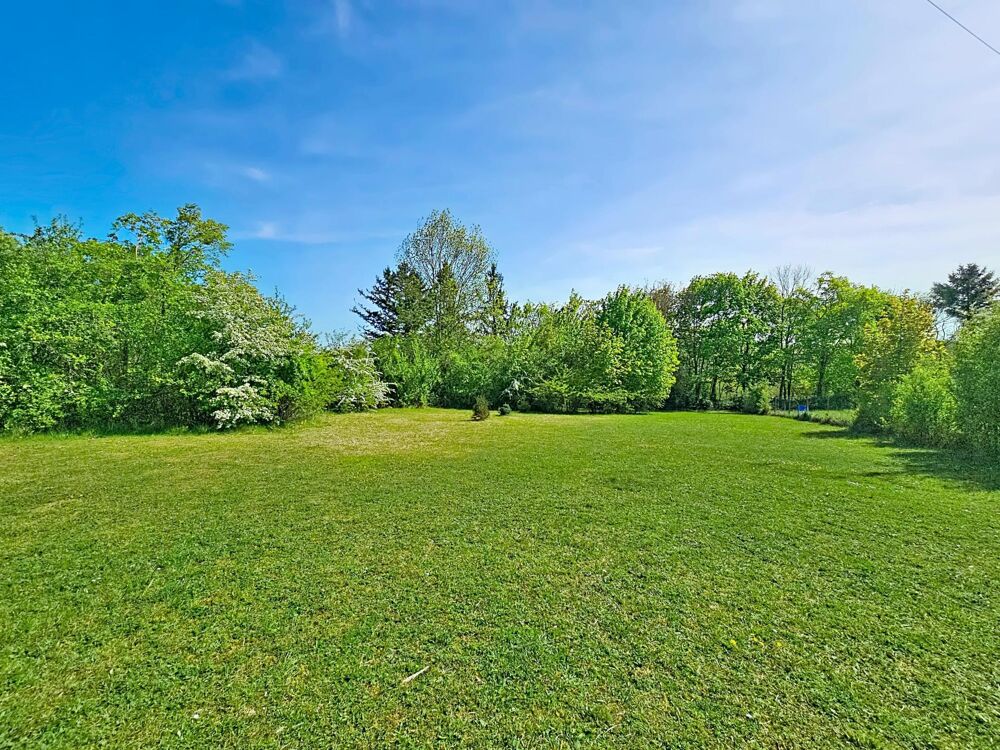 Propriété 165 m² sur un terrain de 5200m² Donnemarie