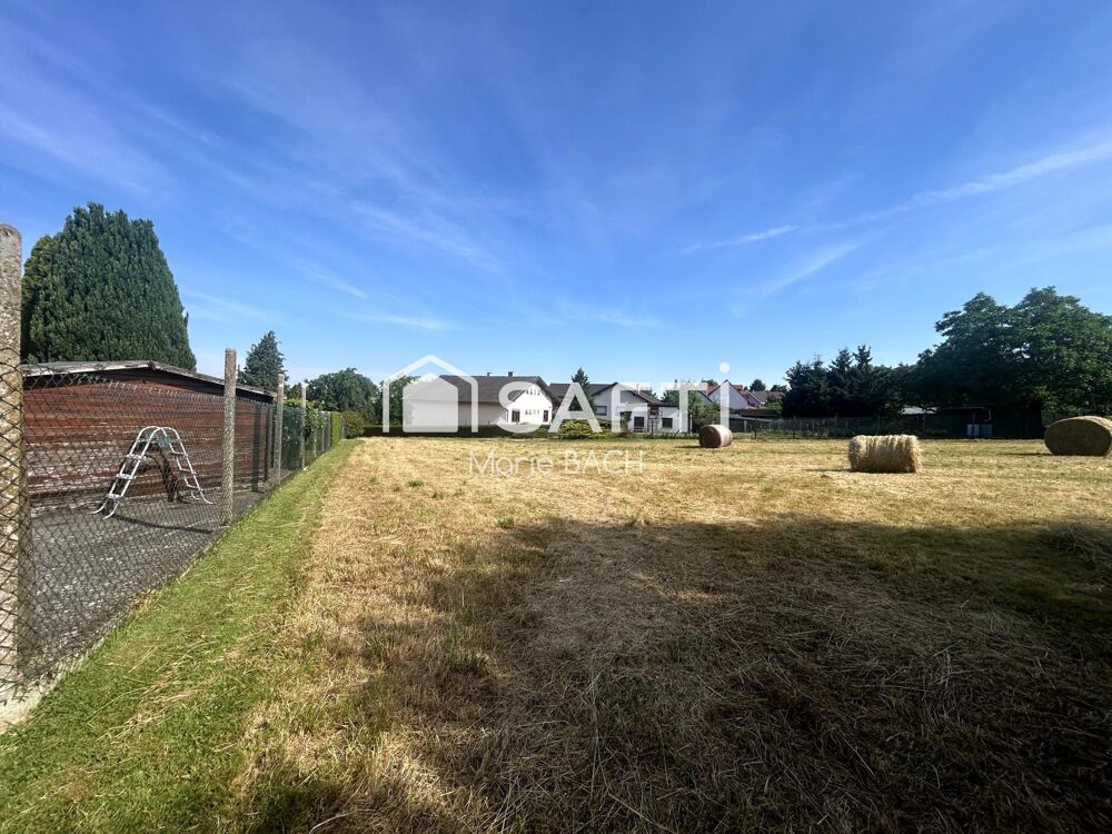 Vente Terrain Terrain de construction Diemeringen