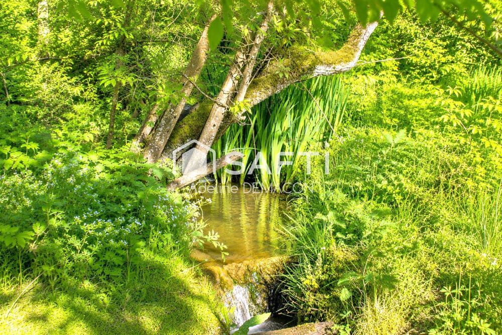 Vente Maison Maison individuelle avec écurie, garage, jardin et ruisseau Verneuil-petit