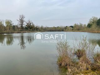 Terrain à vendre 31000 m²
